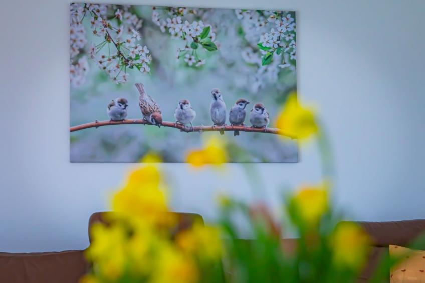 Spatzennest 86 qm - foto 12