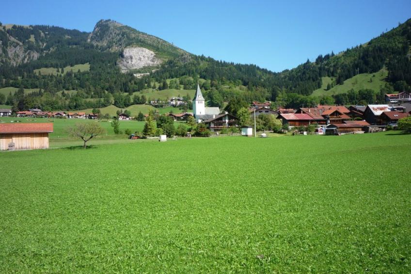 87479 - foto 17