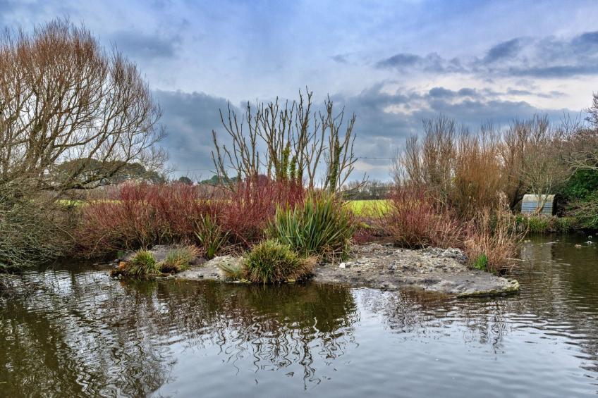 No.1 Gladys' Orchard - foto 13