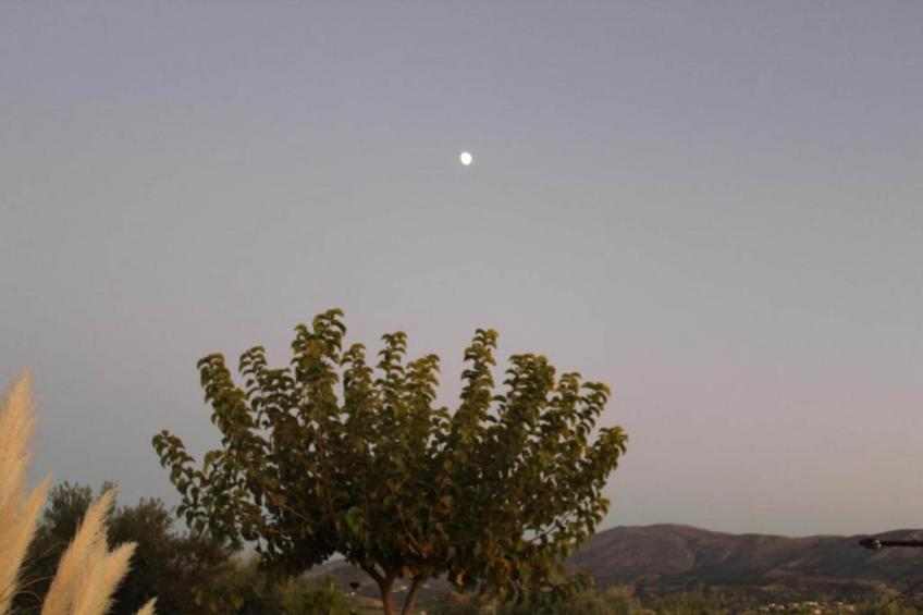 House of Monastery - foto 38