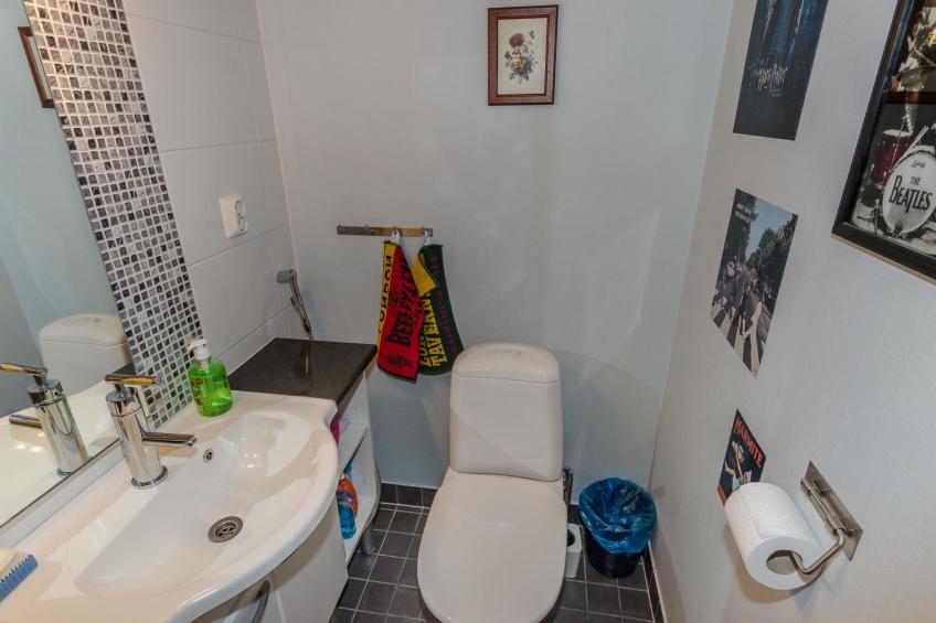 Koli, koliwood a - foto 15