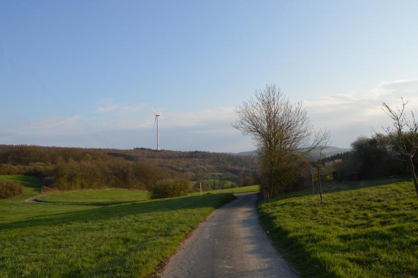 Petryhof - foto 31