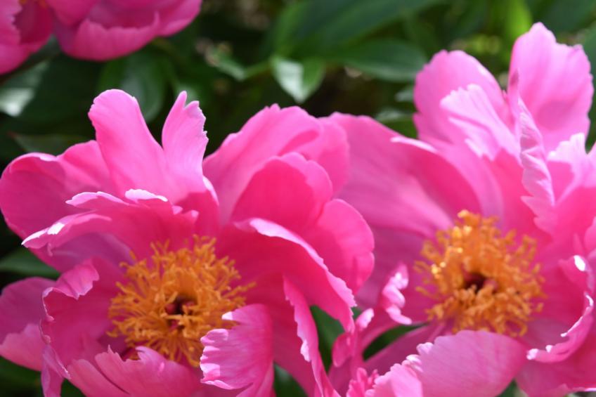 "Haus in der Einöde" - foto 8