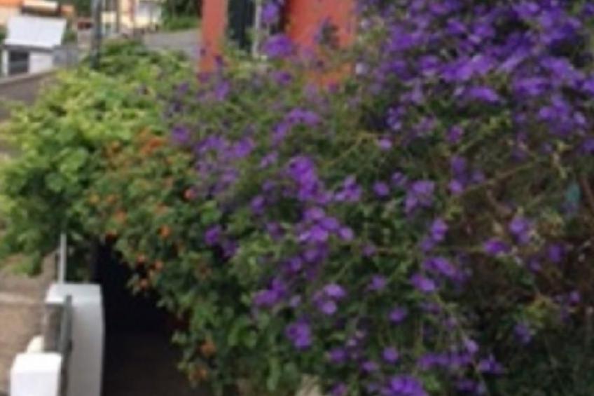 Klein-Norwegen - foto 17