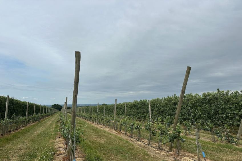 Val du Loire - foto 20