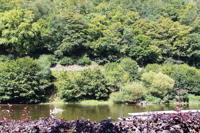 Au Coeur d'Alle Single Room - foto 27