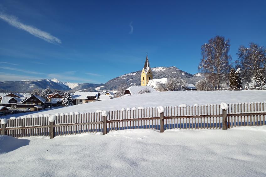 Salfelner - foto 40