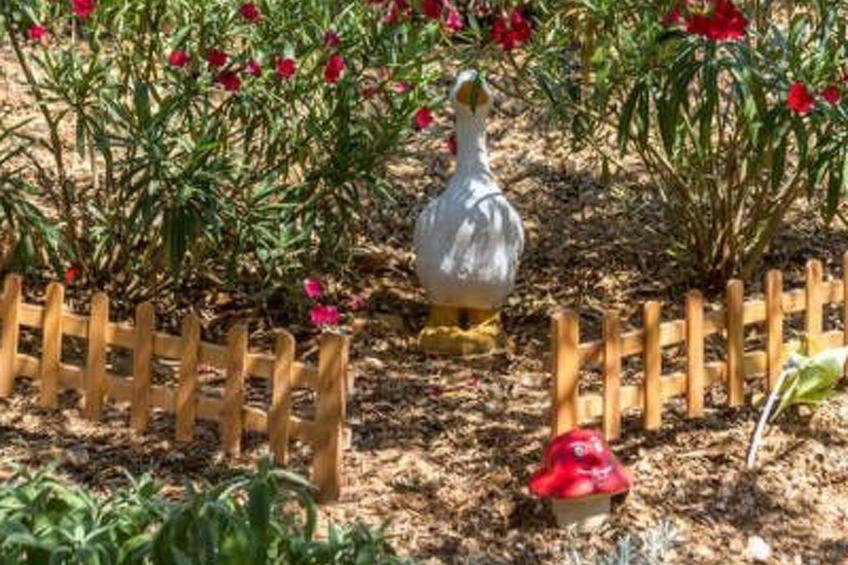 Hütte mit Garten, Grill und Terrasse - foto 6