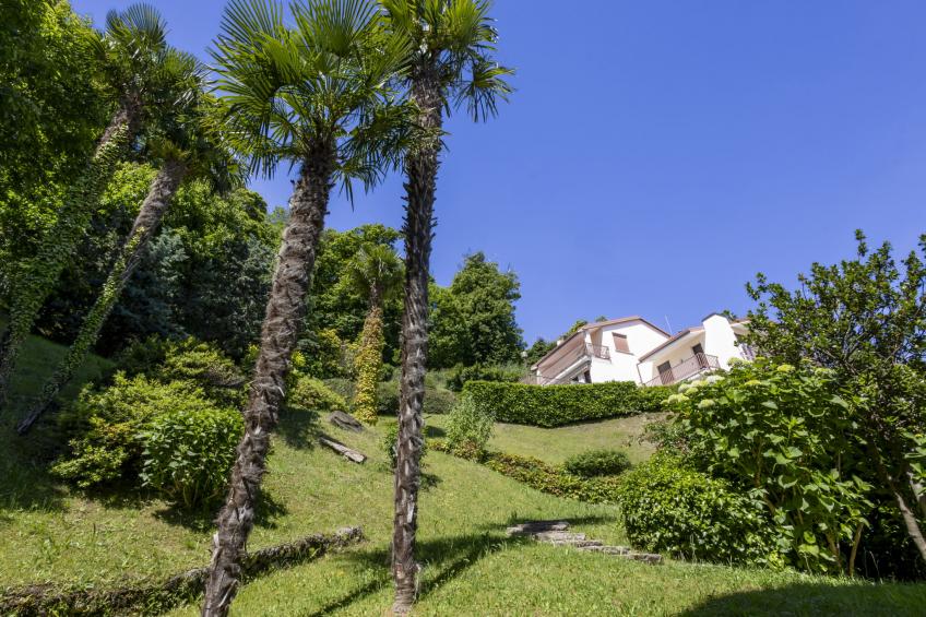 Il Gianlupo Azzurro - foto 21