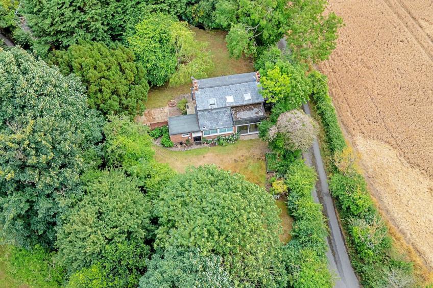 Hollybush Studio - foto 2