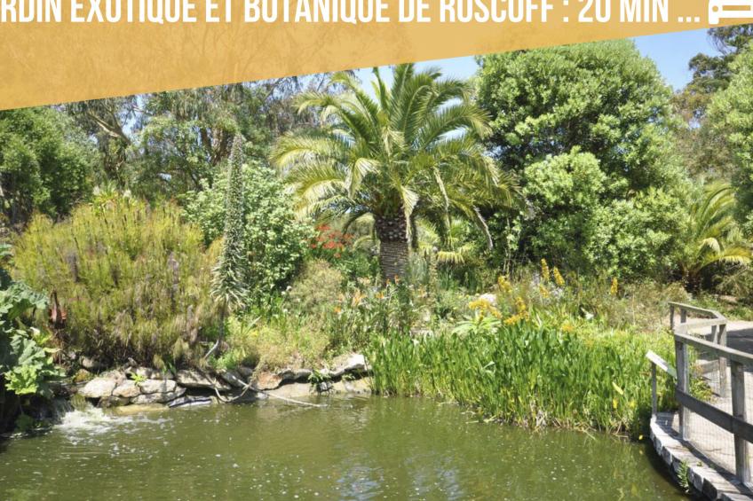 Das Dolmengebäude Clara - foto 75