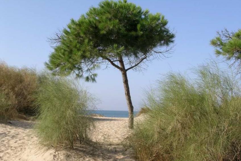 Villa "Los Arcos" mit privatem Garten und Terrasse - foto 53