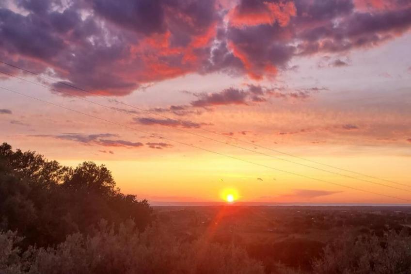 Castagneto1 - foto 38