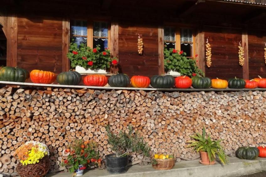 Bauernhof Gerber - foto 31