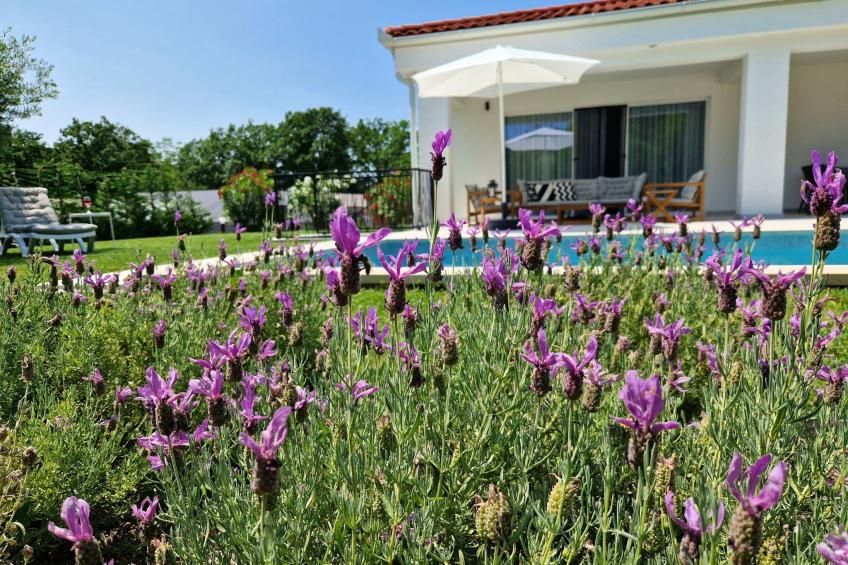 Villa Destiny - foto 12