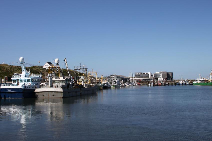 Strandfloh in Hörnum - foto 20