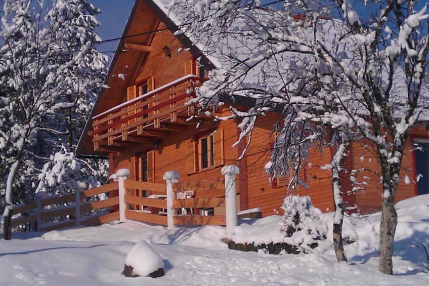 Mala vila Rebeka -großer SwimmingPool - foto 63