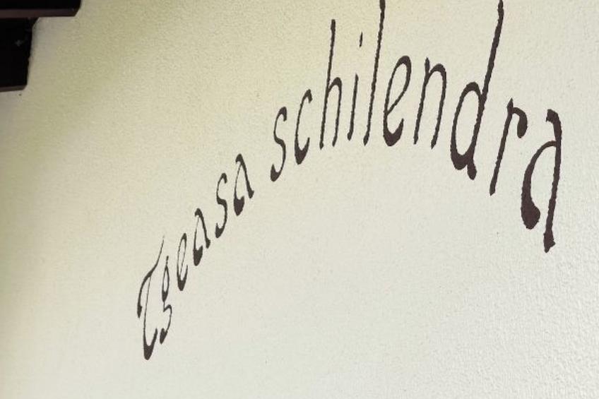 mit Garten Tgeasa Schilendra-Lantsch/Lenz - foto 19