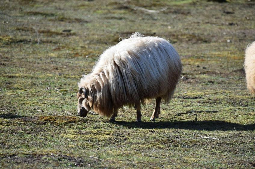 Okken House 3A - foto 31