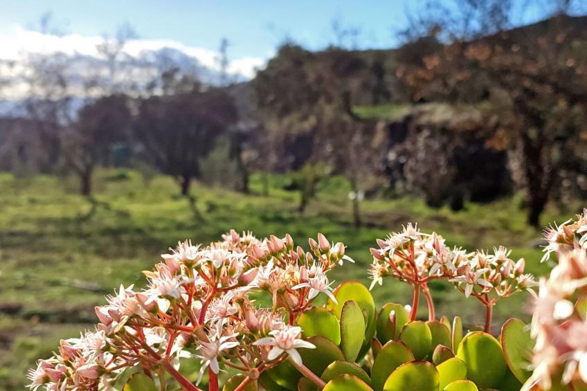 Gemütliches Haus mit Schwimmbad in La Alpujarra - foto 24