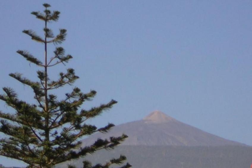 Typisches, renoviertes kanarisches Landhaus - foto 26