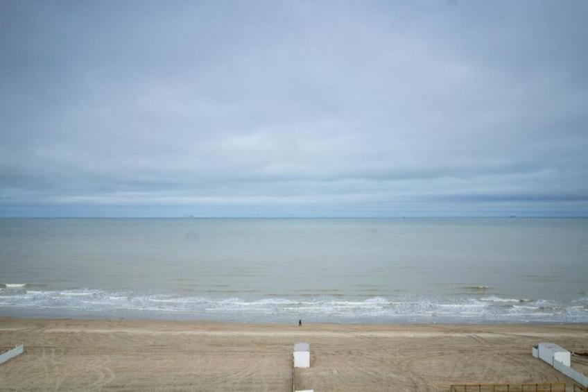 SEASIGHT - 91 - foto 30