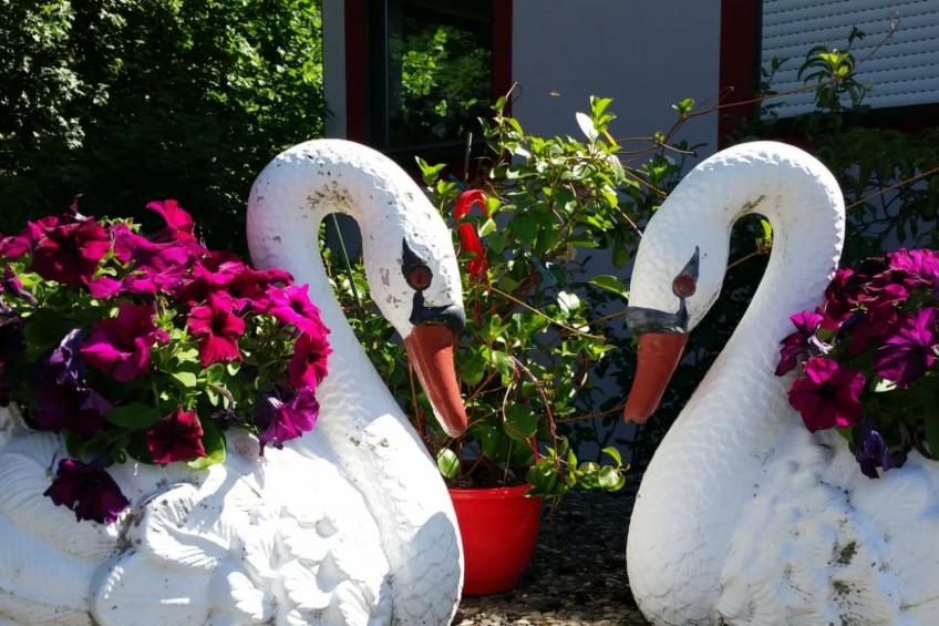 Gesamte Wohnung in Brunn mit Grill und Garten - foto 13