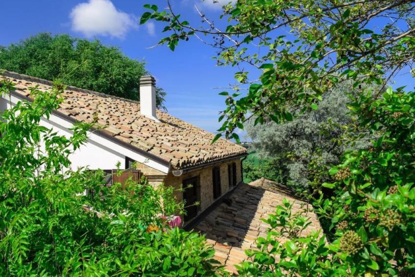 Studio  BUBO  - Pool - Ausblick- Kunst - foto 26