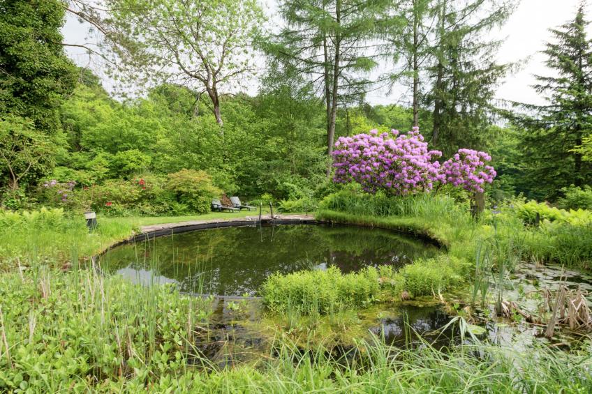Le Jardin des Eaux - foto 28