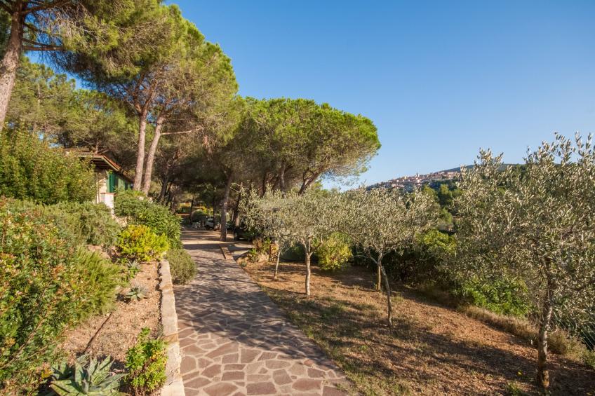 Residence Piccola Oasi (CLV271) - foto 31