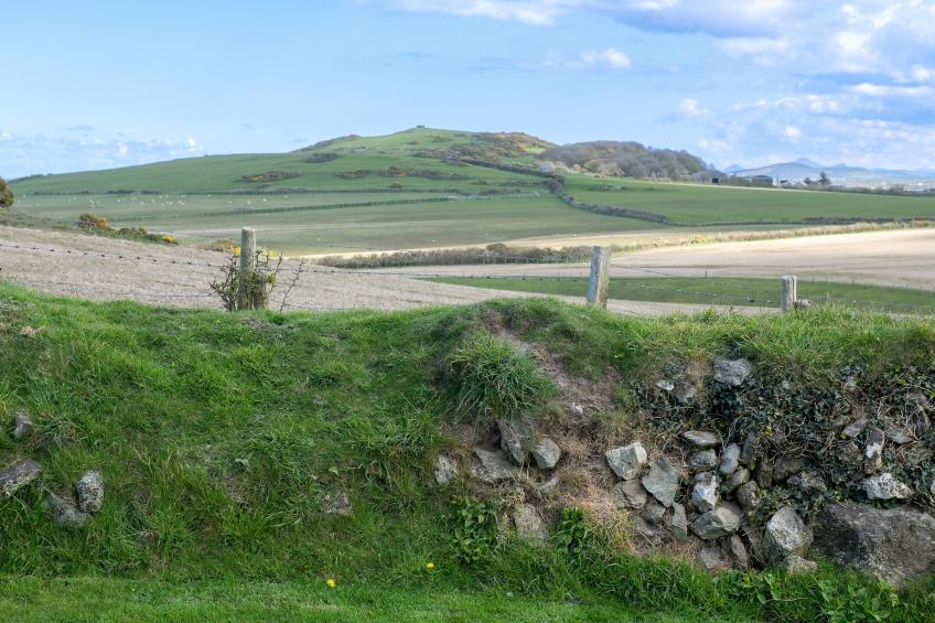 Bryn Du - foto 32