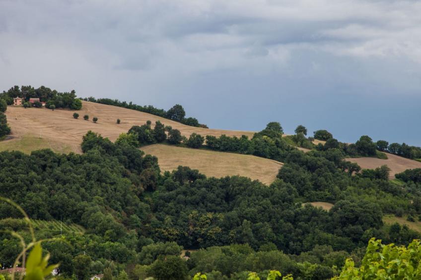 Wohnung im ersten Stock - foto 29