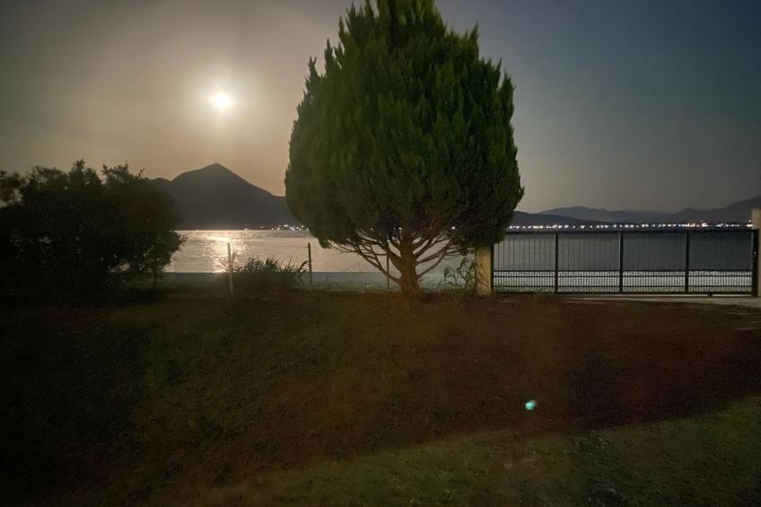 Tanjas Paradise - foto 23