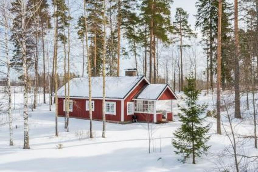 Sepelkyyhky, seeteri - foto 38