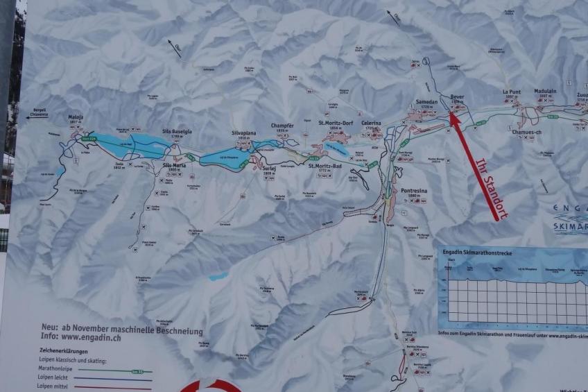 Chesa Arettas - foto 21