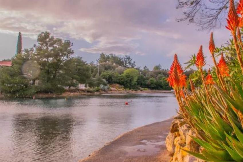 "Punta Orange" - foto 40