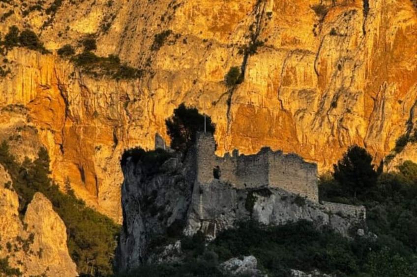 Le Chant Des Cigales - foto 19