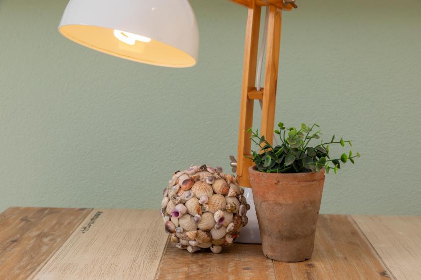 Zomerwoning-Zuidstraat 113|Westkapelle - foto 5