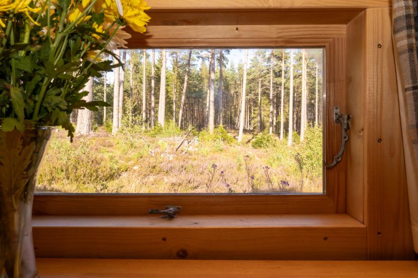 Birch Bothy - foto 8