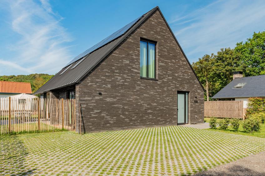 Villa Zilte Duinen - foto 34