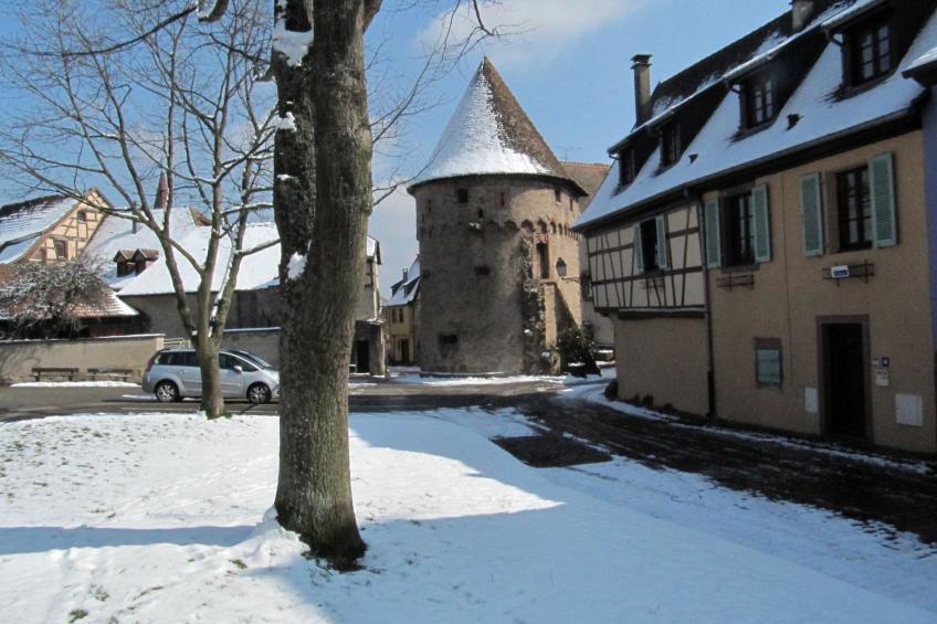 2ed-Face Vosges,im Süden,Herz Weinberg,Ruhig,WiFi - foto 2