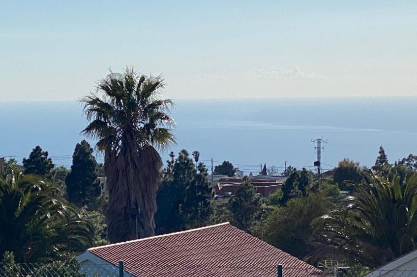 Las Tortugas - foto 7