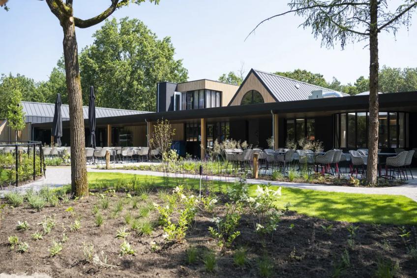 Brabants licht - foto 17