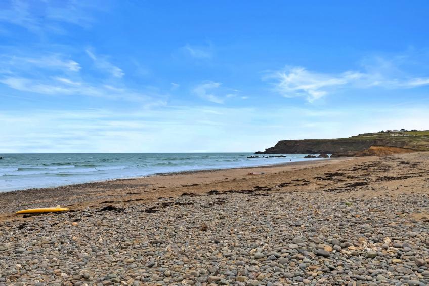 Sea Thrift at Widemouth Bay - foto 25