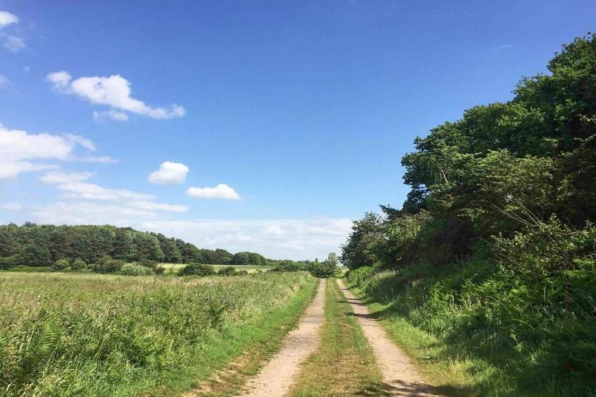 Bulrush Bell Tent - foto 24