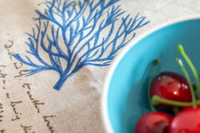 Conero Bluloft - foto 12