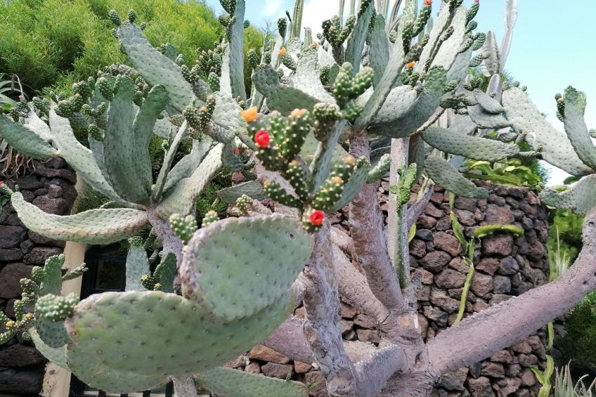 mit Whirlpool - foto 39