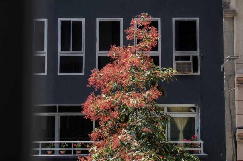 Rejon Hideaway B By CanariasGetaway - foto 25