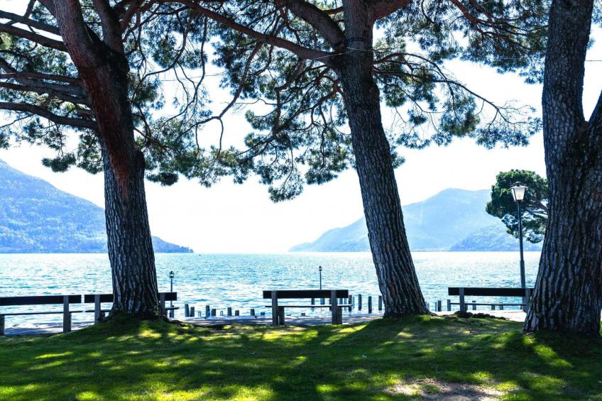 See-Penthouse - foto 3