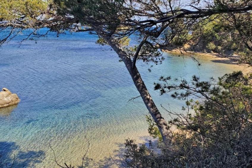 Residence Les Océanides - foto 36